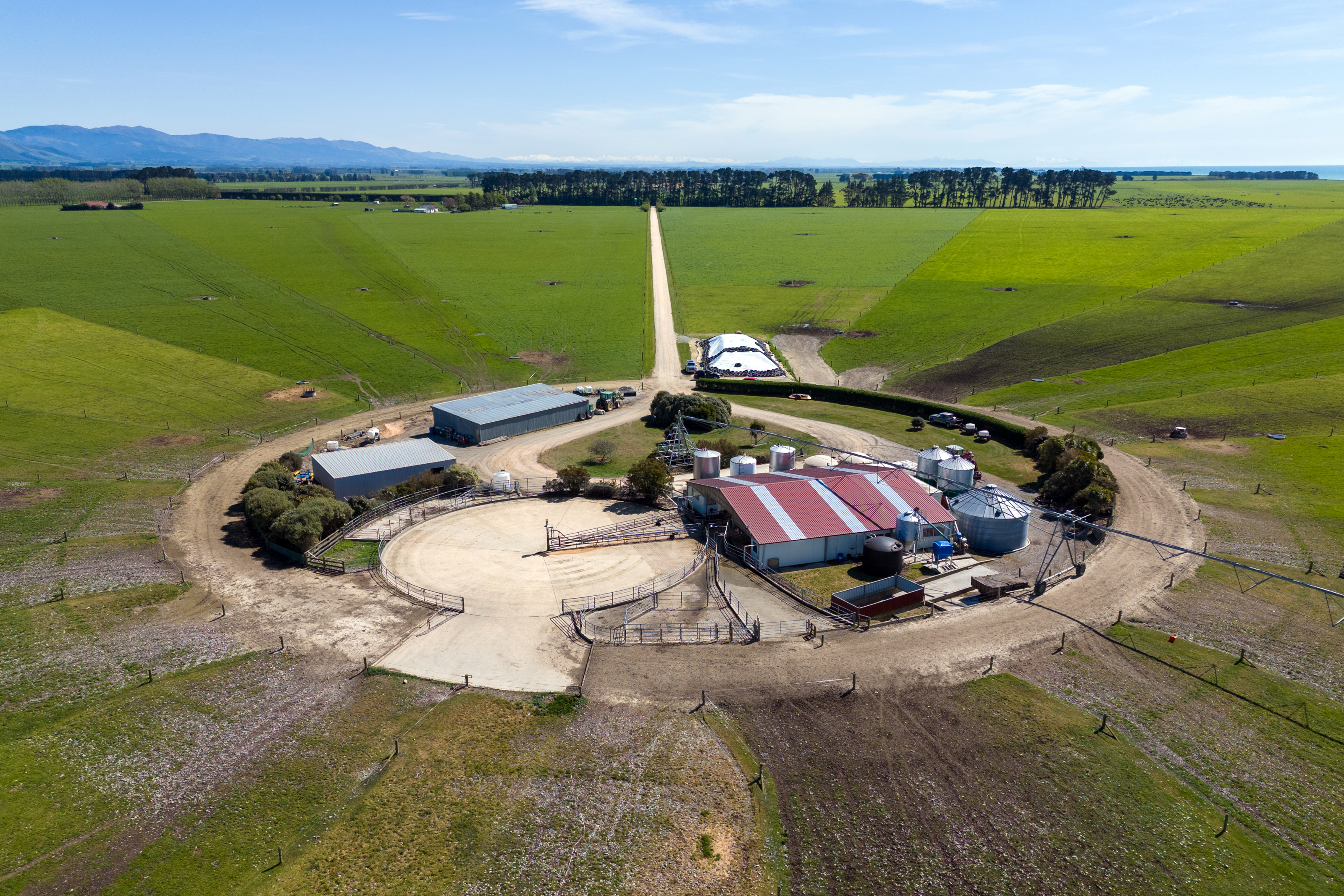 310 Morris Road, Morven, Waimate, 0 રૂમ, 0 બાથરૂમ, Dairy