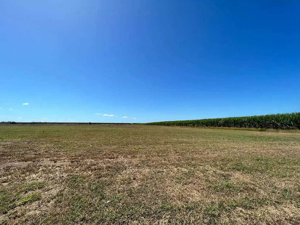 261 Old Clare Road, Mcdesme, QLD 4807