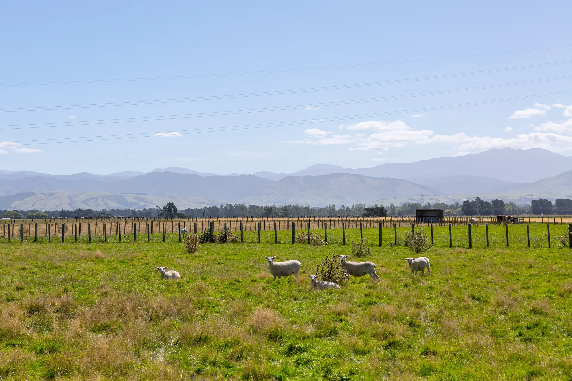 445 Perrys Road, East Taratahi, Carterton, Wairarapa, 0 Bedrooms, 0 Bathrooms, Lifestyle Section