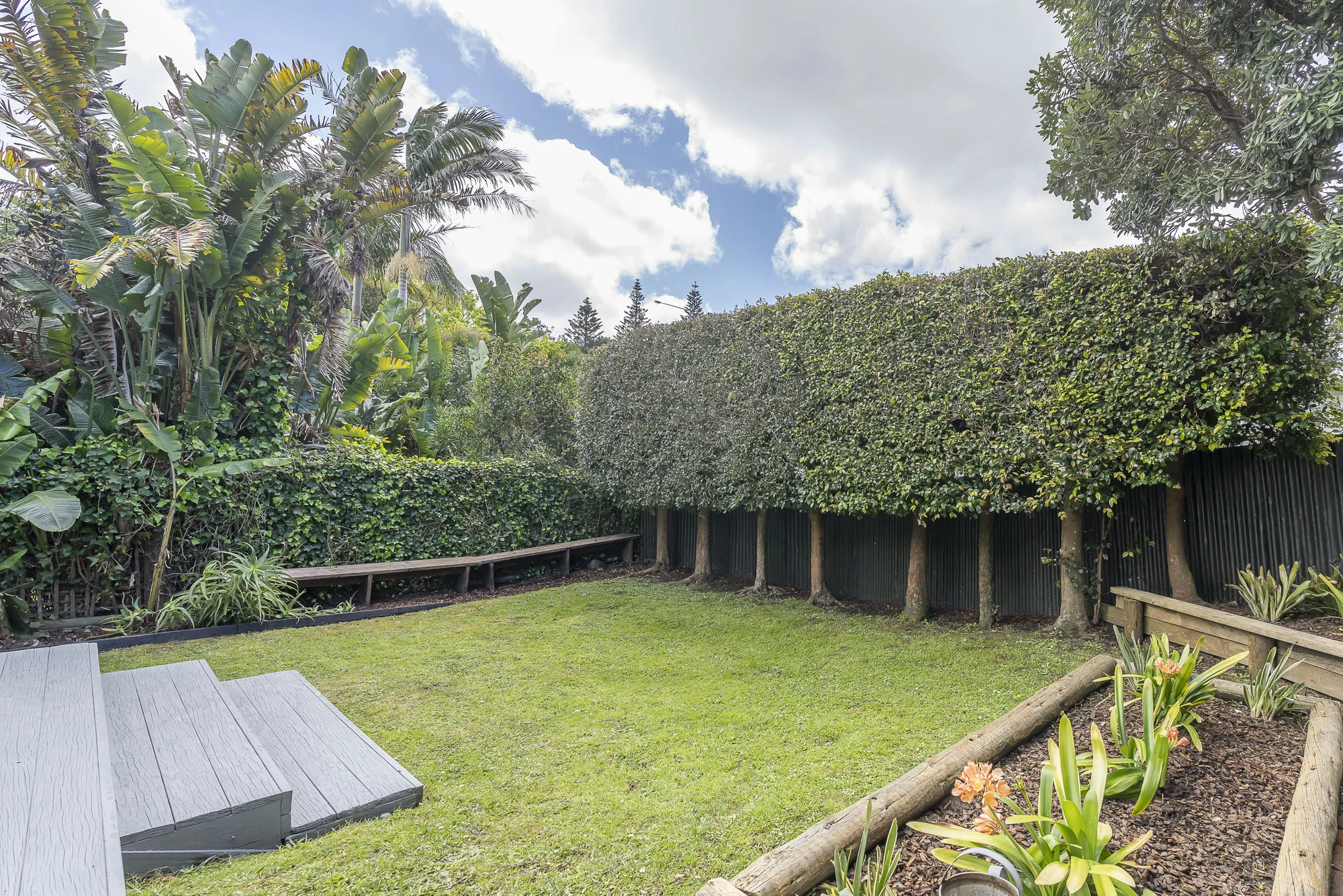 56 King Street, Kingsland, photo 18