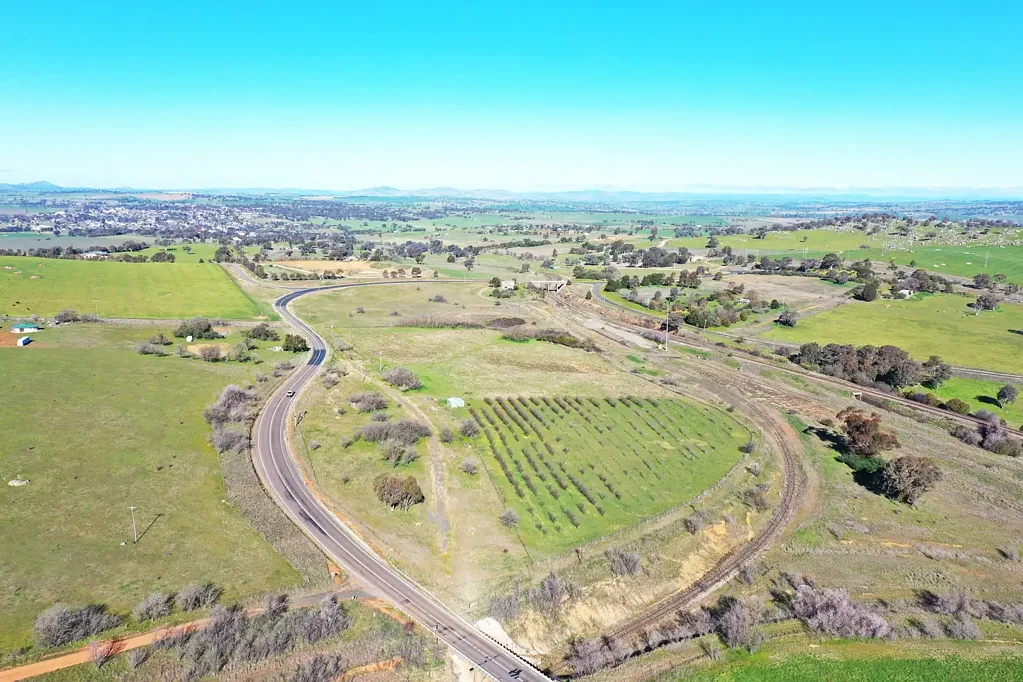 Murrumburrah  Cherry Season is Just Around the Corner - 12.55 Acre Cherry & Plum Orchard