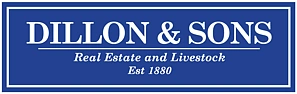 Dillon & Sons Real Estate