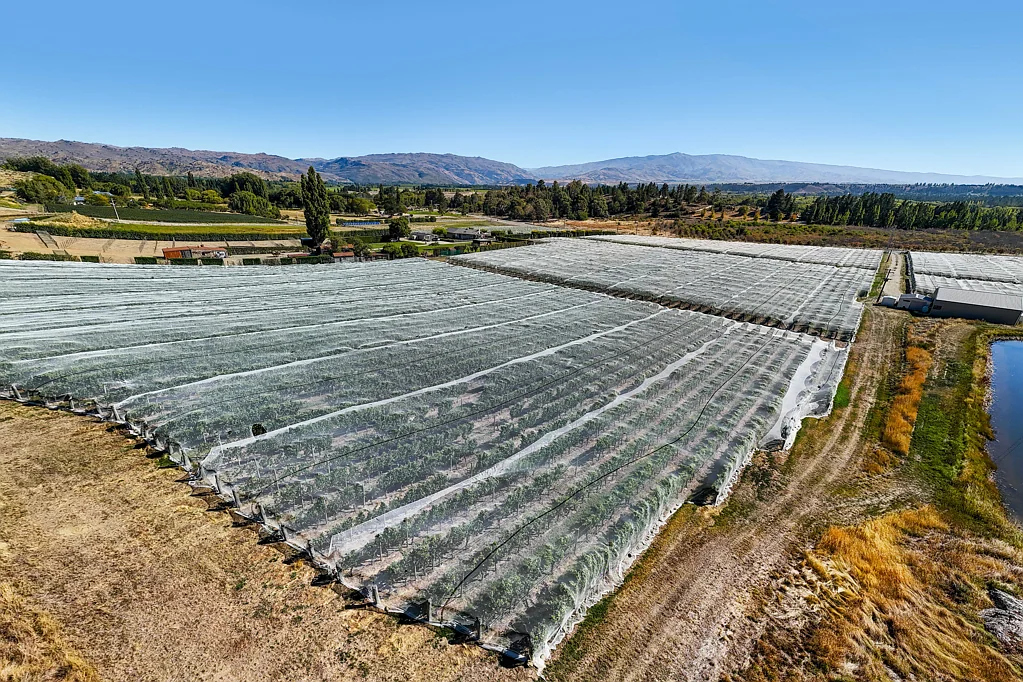Alexandra  Lot 2, Grasshopper Rock