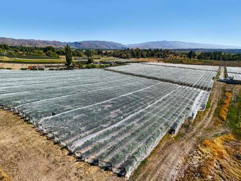 Alexandra Lot 2, Grasshopper Rock