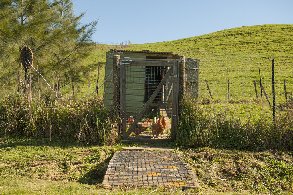 2787a Tapu Coroglen Road, Coroglen, Coromandel, 3 Kuwarto, 1 Banyo