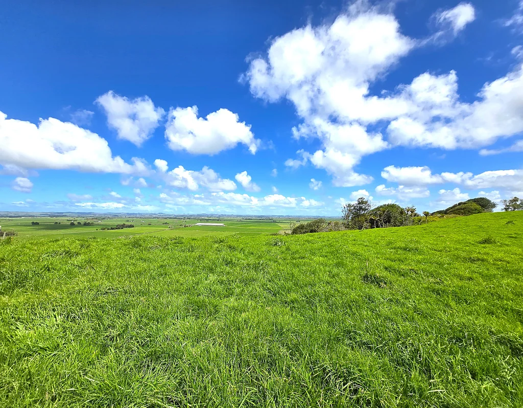 Ruawai Best Views in Town