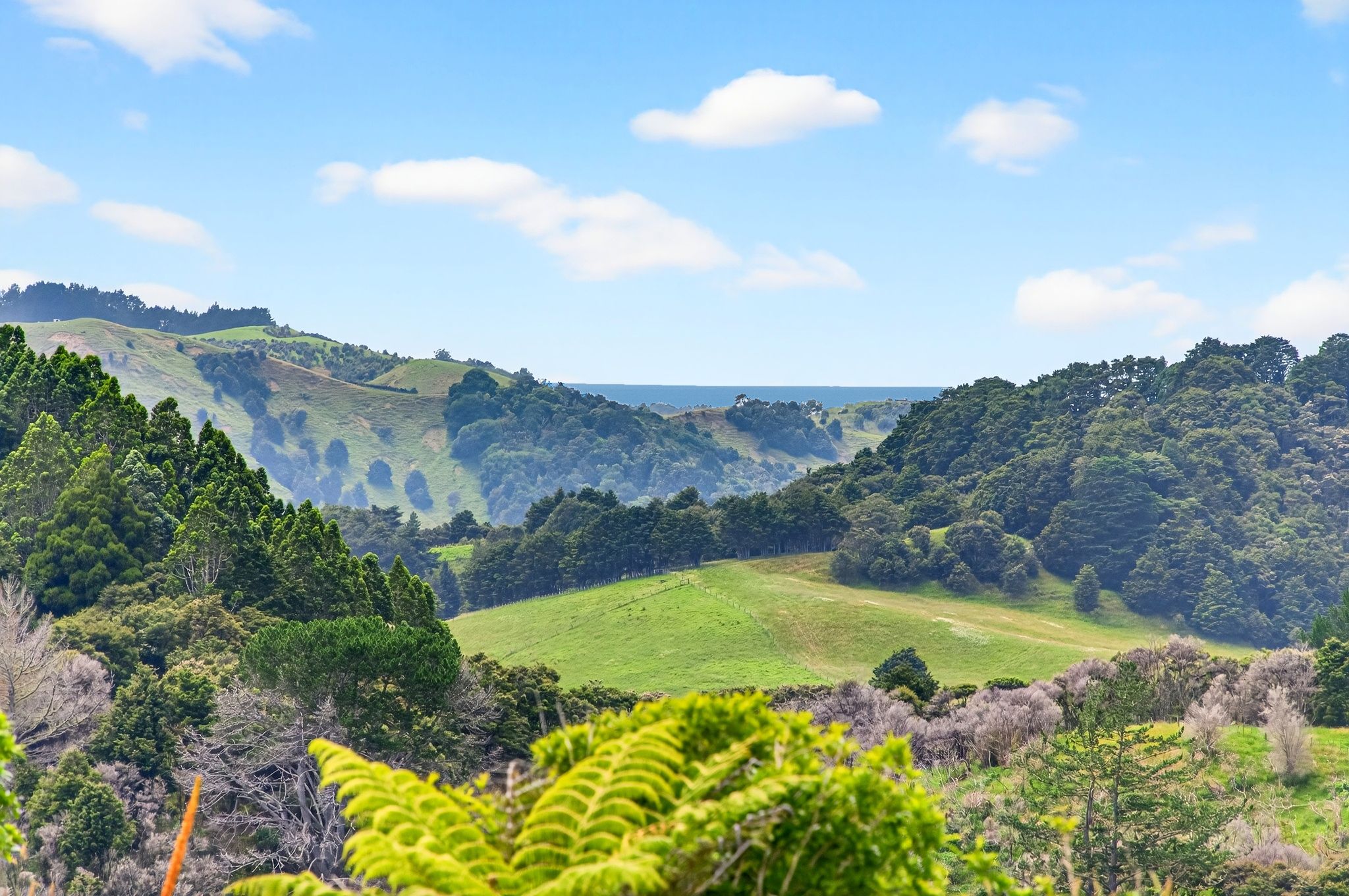 163 Ahuroa Road, Puhoi, photo 11
