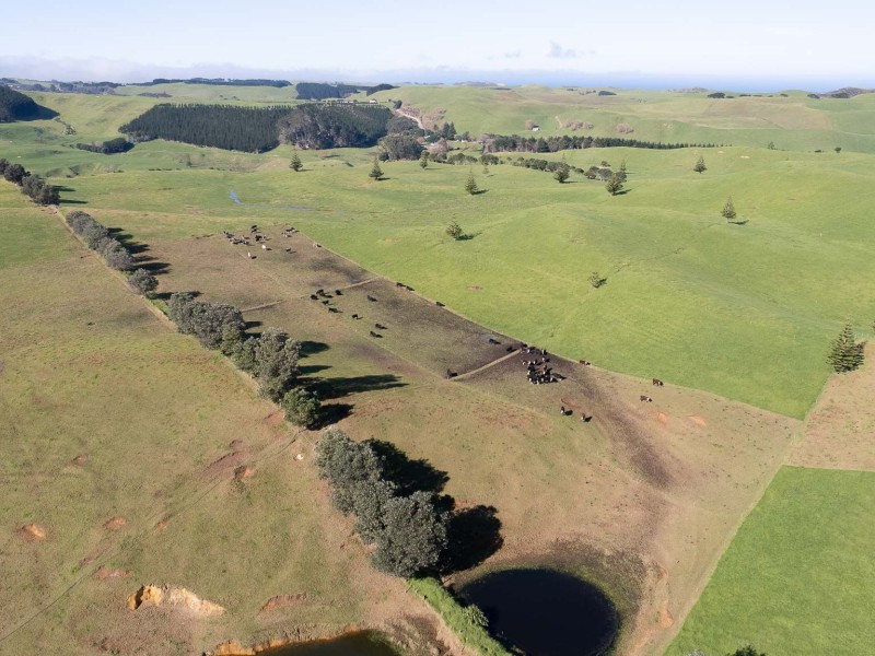 1496 Babylon Coast Road, Dargaville Surrounds, Kaipara, 0 Schlafzimmer, 0 Badezimmer