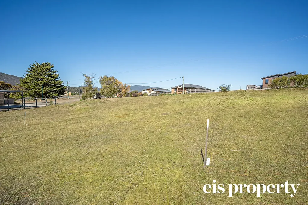 Cygnet  Premium Lot in the Heart of Cygnet