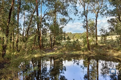 2950 Colac-Forrest Rd, Forrest, VIC 3236, 0 slaapkamers, 0 badkamers, Lifestyle Property