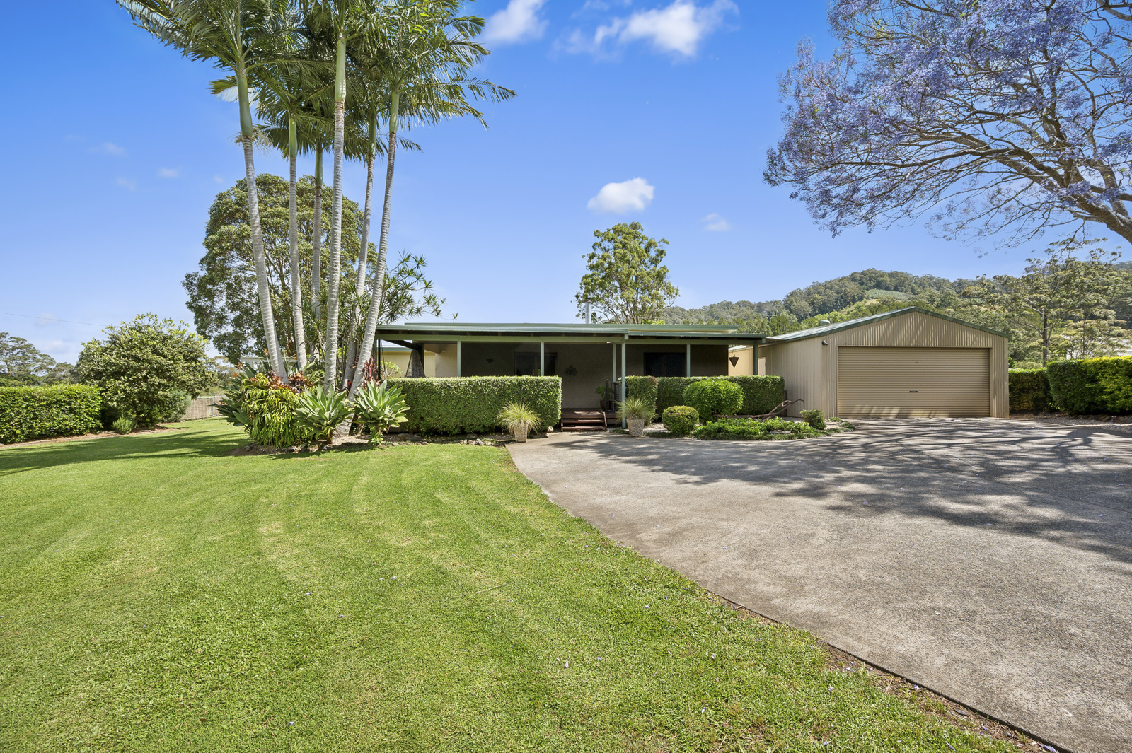 505 CROSSMAGLEN RD, BONVILLE NSW 2450, 0房, 0浴, House