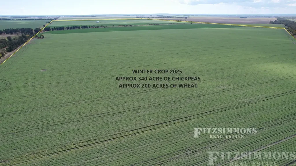 Warra TUCKERANG DISTRICT - INCLUDING CURRENT CROP!!!
