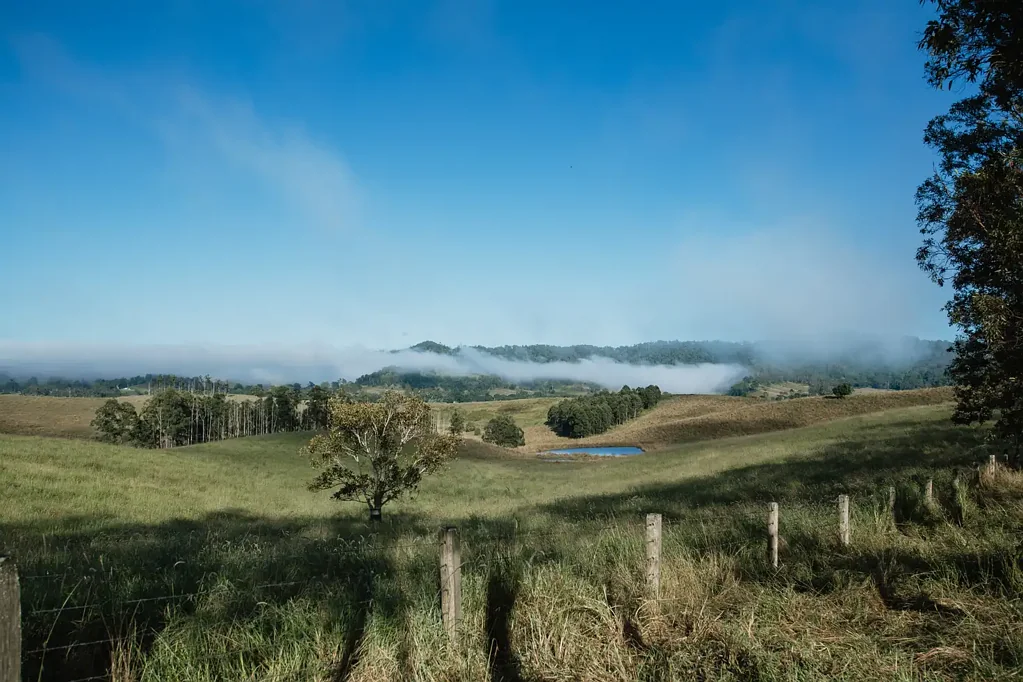 Wiangaree  Ideal Hobby Farm Lot with Panoramic Views