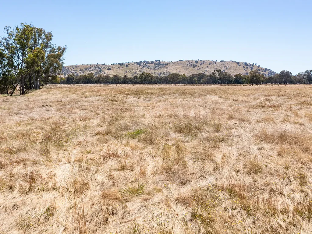 Euroa Approved Planning Permit -Rare Find - Prime 42.9 Acres –  4.5 km's to Euroa  – Creek Frontage