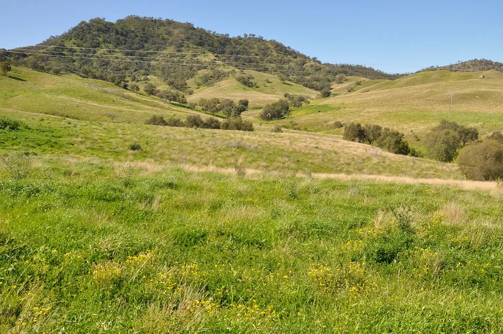 Mccullys Gap  Quality, low maintenance grazing opportunity, east of Muswellbrook