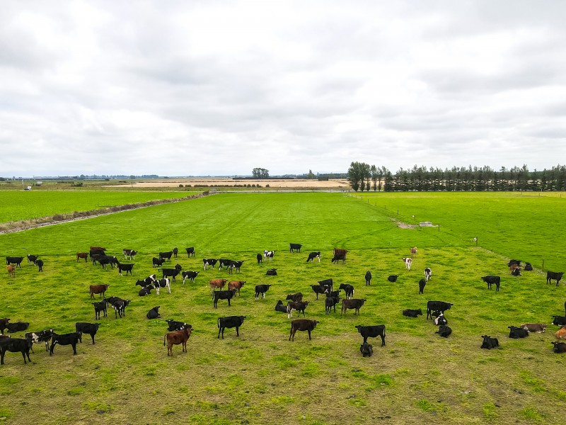 123 Rangitata Highway, Hinds, Ashburton, 0 chambres, 0 salles de bain