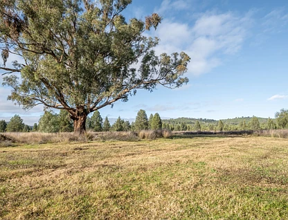 Lot 103 Inlet Road, Attunga, Tamworth, 0房, 0浴, Lifestyle Property