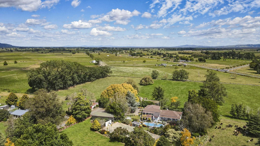 Paeroa Motivated vendors, acreage with income, view today