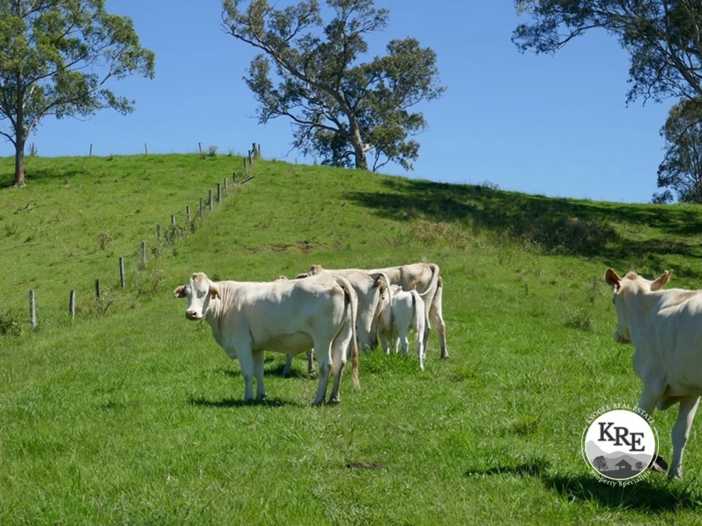 183 Williams Rd, Kyogle, NSW 2474