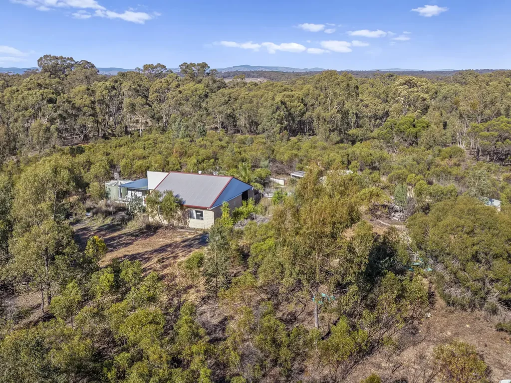 Koonda  67.7 Acre Hideaway and Wildlife Haven - Owned Since 2002 - Solid Storage Building - Woodlands