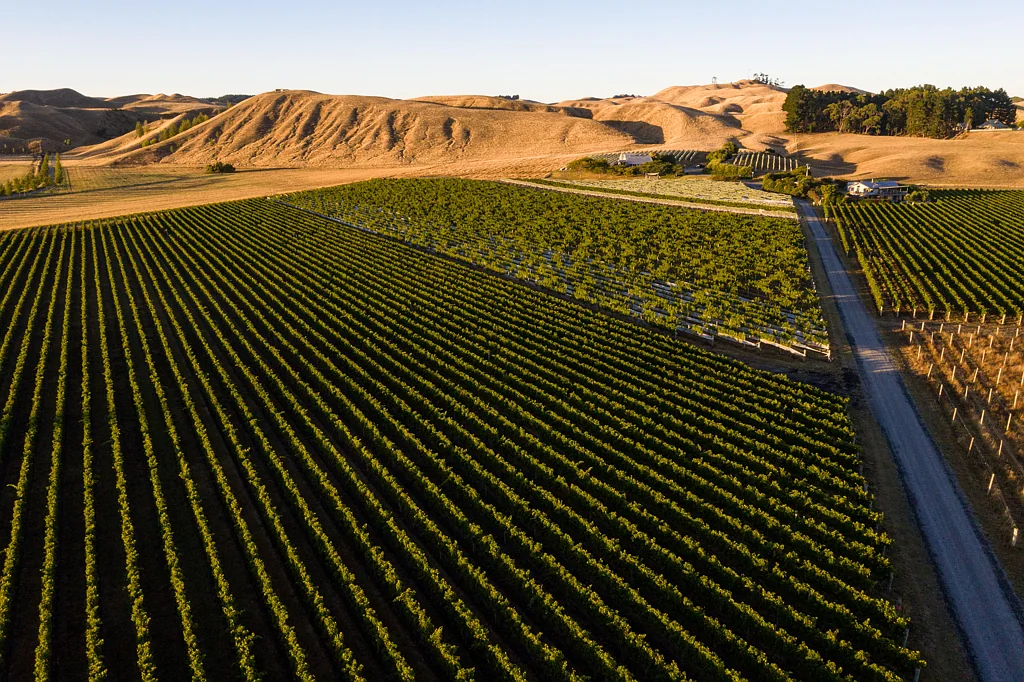 Haumoana Coastal vineyard getaway