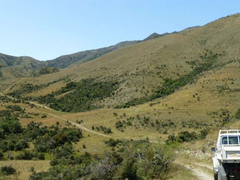 Waihopai Valley Road, Waihopai Valley, Marlborough, 0 rūma, 1 rūma horoi