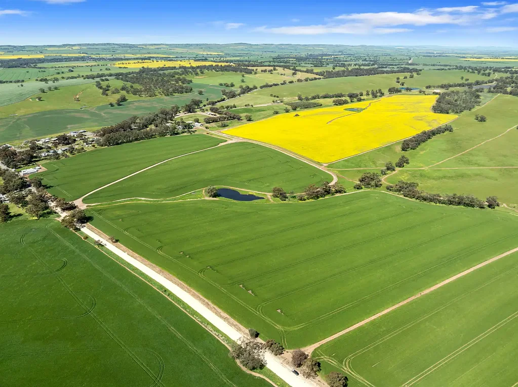 Rhynie Rhynbrook Park– 5033 Horrocks Highway, Rhynie 463.98ha (1146 acres)