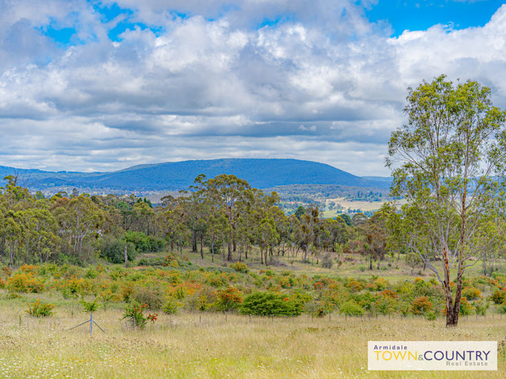 53B THE AVENUE, ARMIDALE NSW 2350, 0 ਕਮਰੇ, 0 ਬਾਥਰੂਮ, Section