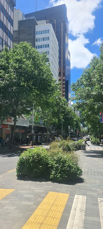 Address Withheld, Auckland Central, Auckland City, 0 Bedrooms, 0 Bathrooms, Office Premises