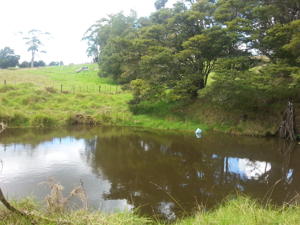 Paparoa-Oakleigh Road, Otamatea Surrounds, Kaipara, 0 રૂમ, 0 બાથરૂમ