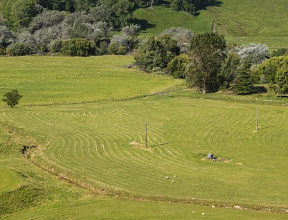 Mahaki Settlement Road, Te Karaka, Gisborne, 0 ਕਮਰੇ, 0 ਬਾਥਰੂਮ, Bare Land