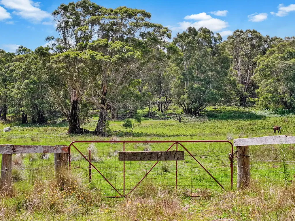 195 Halls Lane, Braidwood, NSW 2622