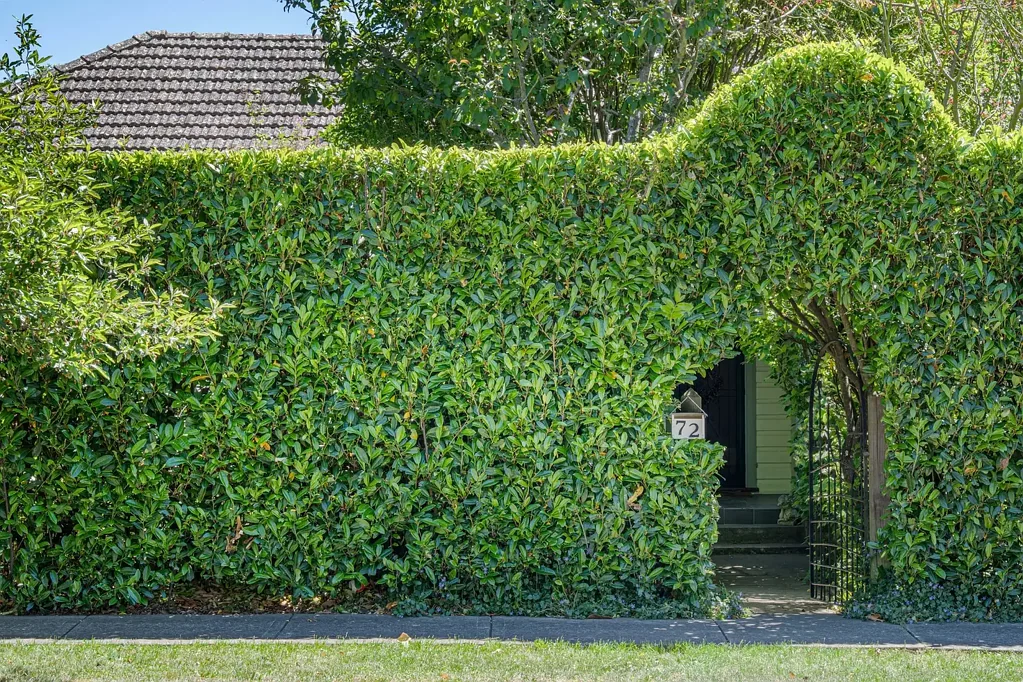 72 Merrigang Street, Bowral, NSW 2576