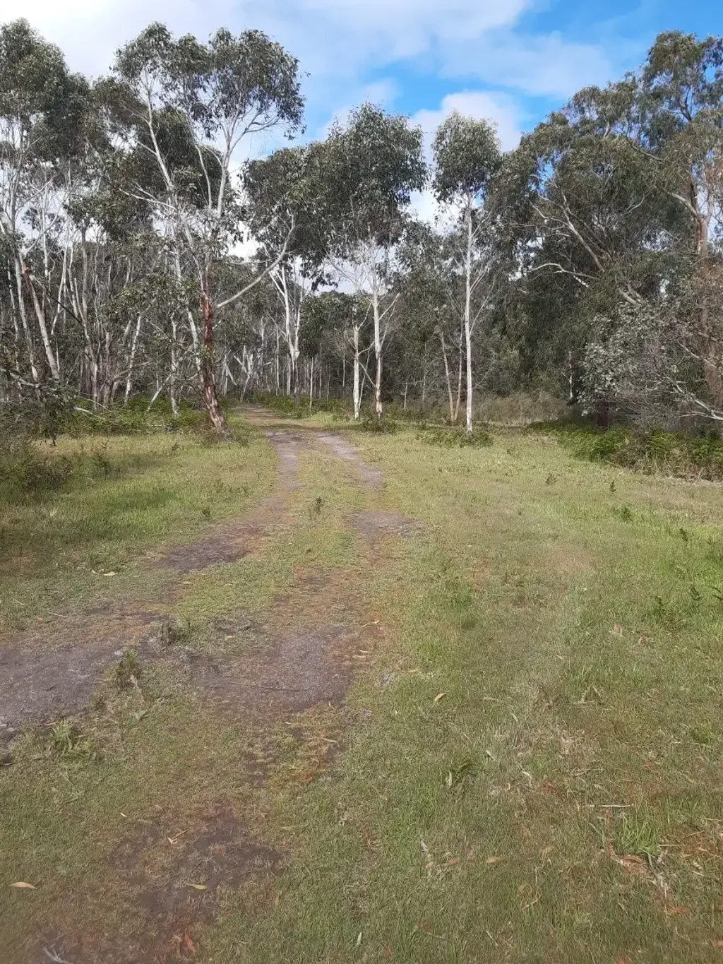 Gorae West Loggers Entrance 4.114 Hectares (lot 2)