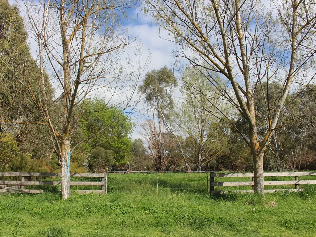 Mansfield An acre in town for your pony, moveable unit or market garden?