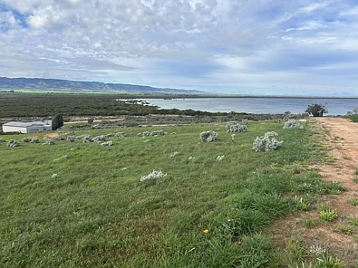 Weeroona Island  Excellent Block Awesome views