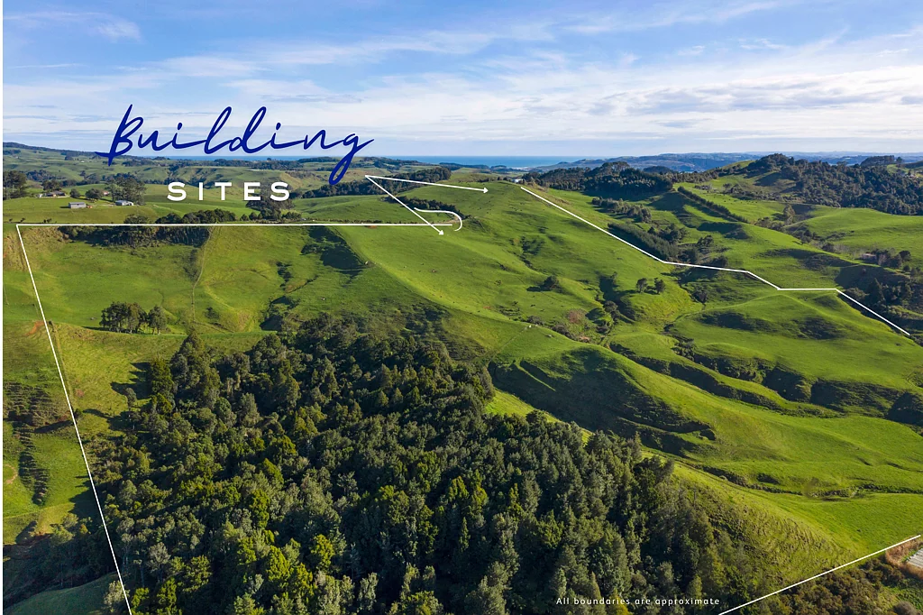 Raglan Build your dream on 33.75 hectares