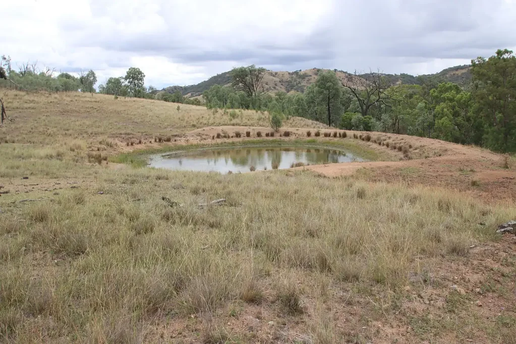 1872 Mole River Road, Tenterfield, NSW 2372