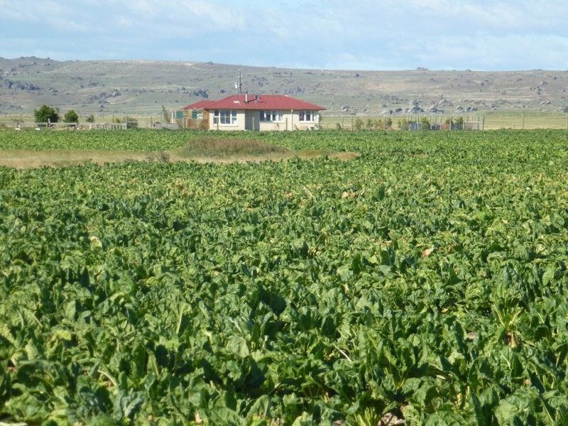 635 Poolburn Moa Creek Road, Moa Creek, Otago, 3 રૂમ, 1 બાથરૂમ