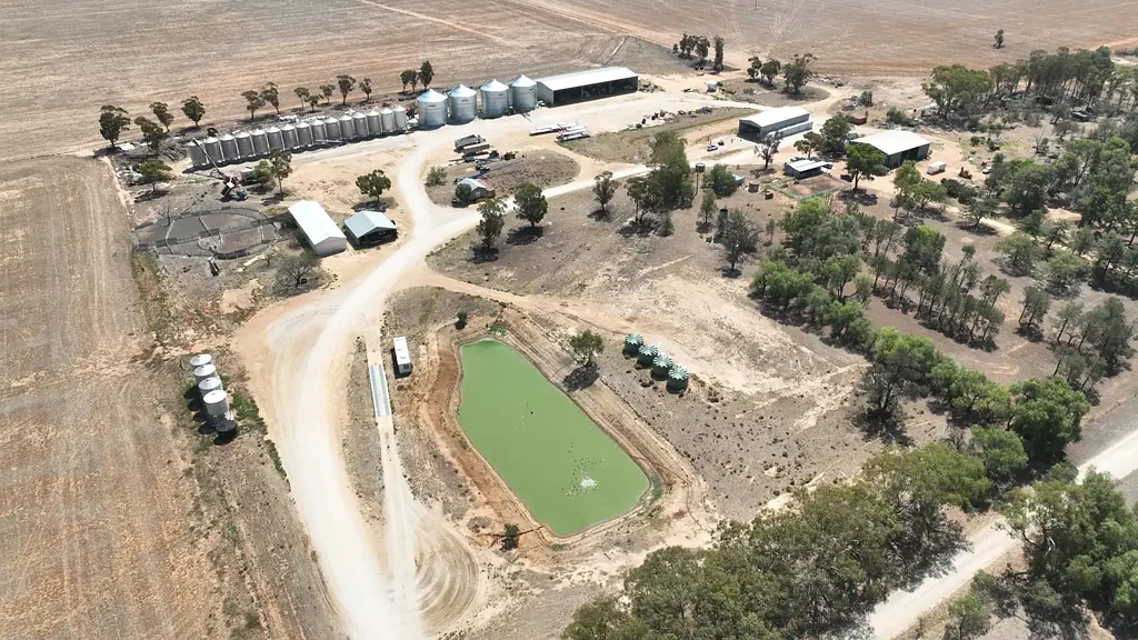 Pine Grove CORPORATE SCALE DRYLAND AGGREGATION IN NORTHERN VICTORIA