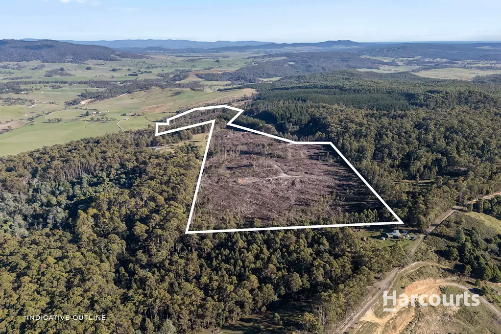 Bangor Lifestyle/Recreation/Forestry property