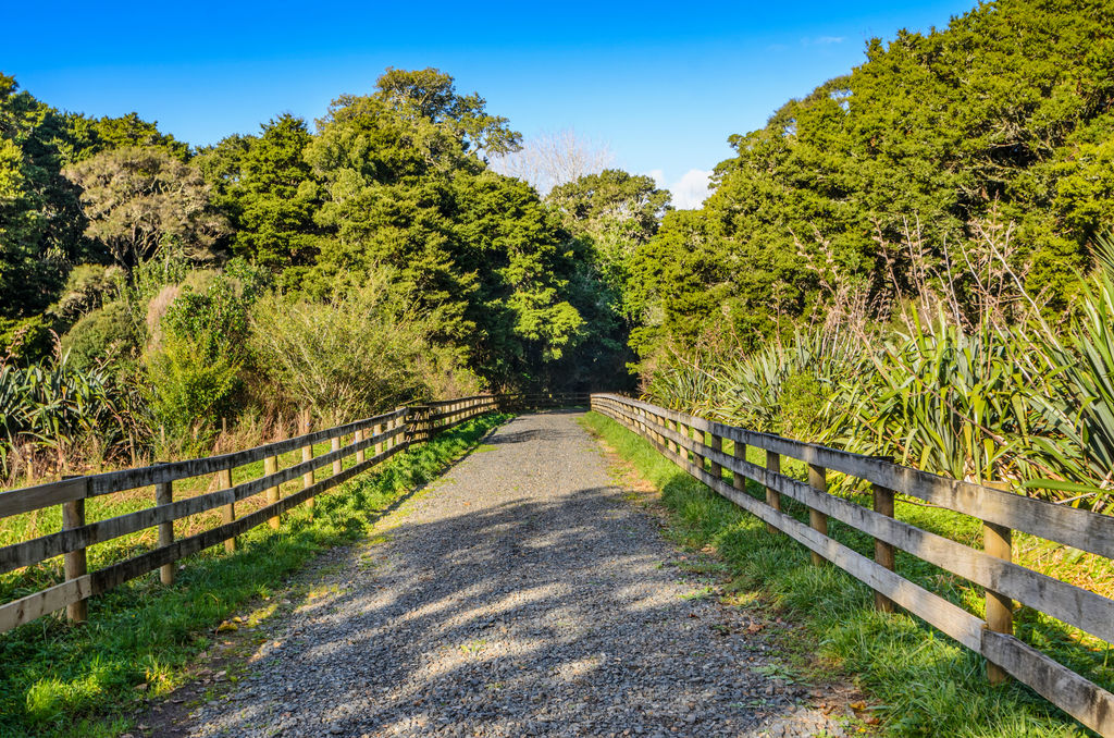 1149 Whangaripo Valley Road, Whangaripo, Auckland - Rodney, 0 ਕਮਰੇ, 1 ਬਾਥਰੂਮ, Finishing