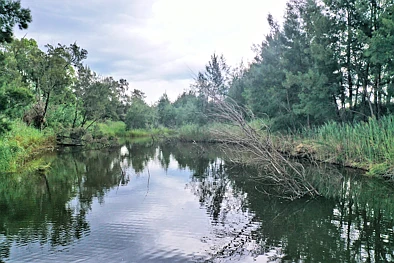 Address Withheld, Fordwich, NSW 2330, 0 phòng ngủ, 0 phòng tắm, Lifestyle Property