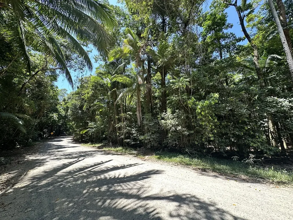 Cape Tribulation Rare Elevated 1.48ha Rainforest Acreage Privacy, Access & Location
