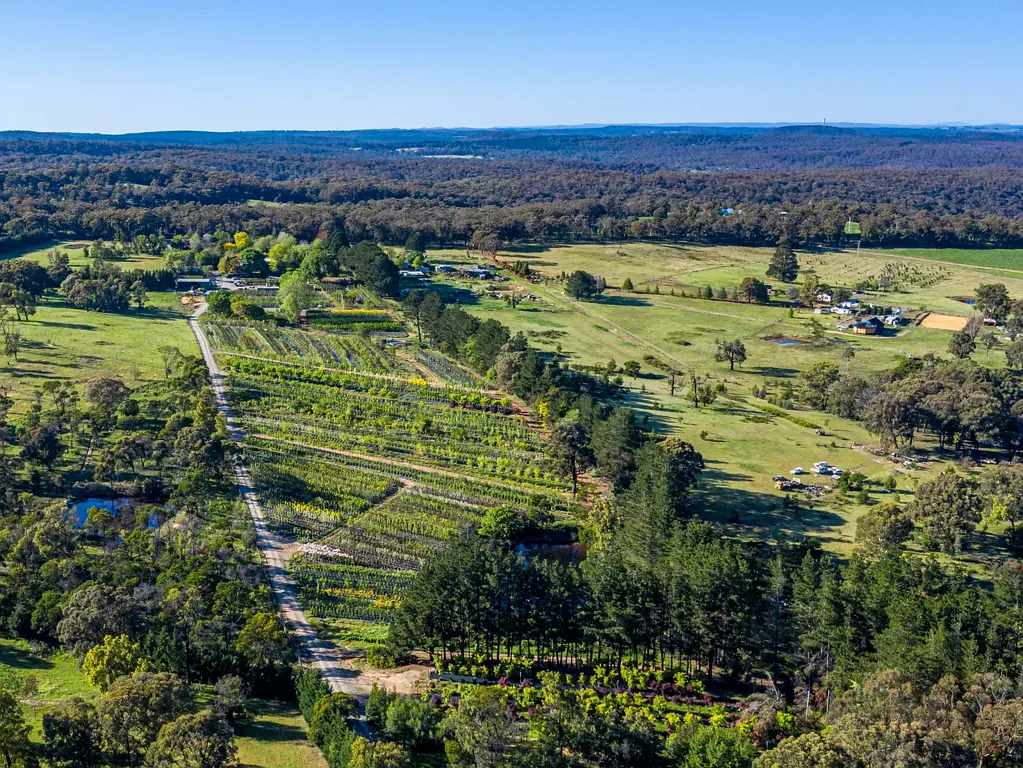 Canyonleigh Southern Highlands Tree Change with an Established Business