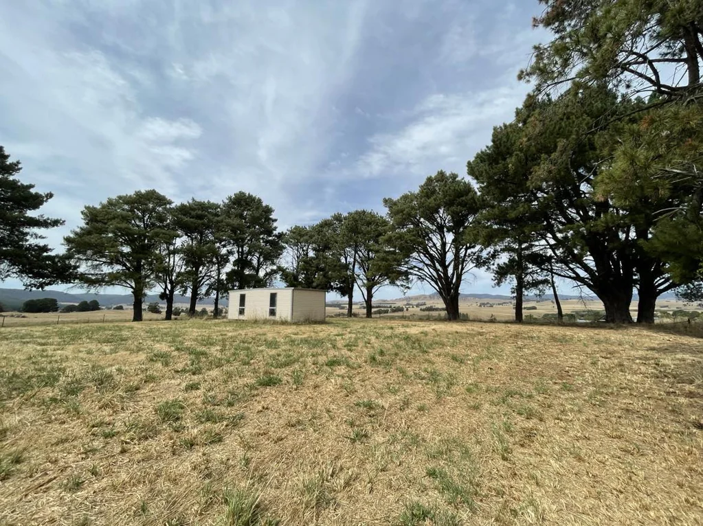 Tumbarumba Your Property Portfolio Starts Here