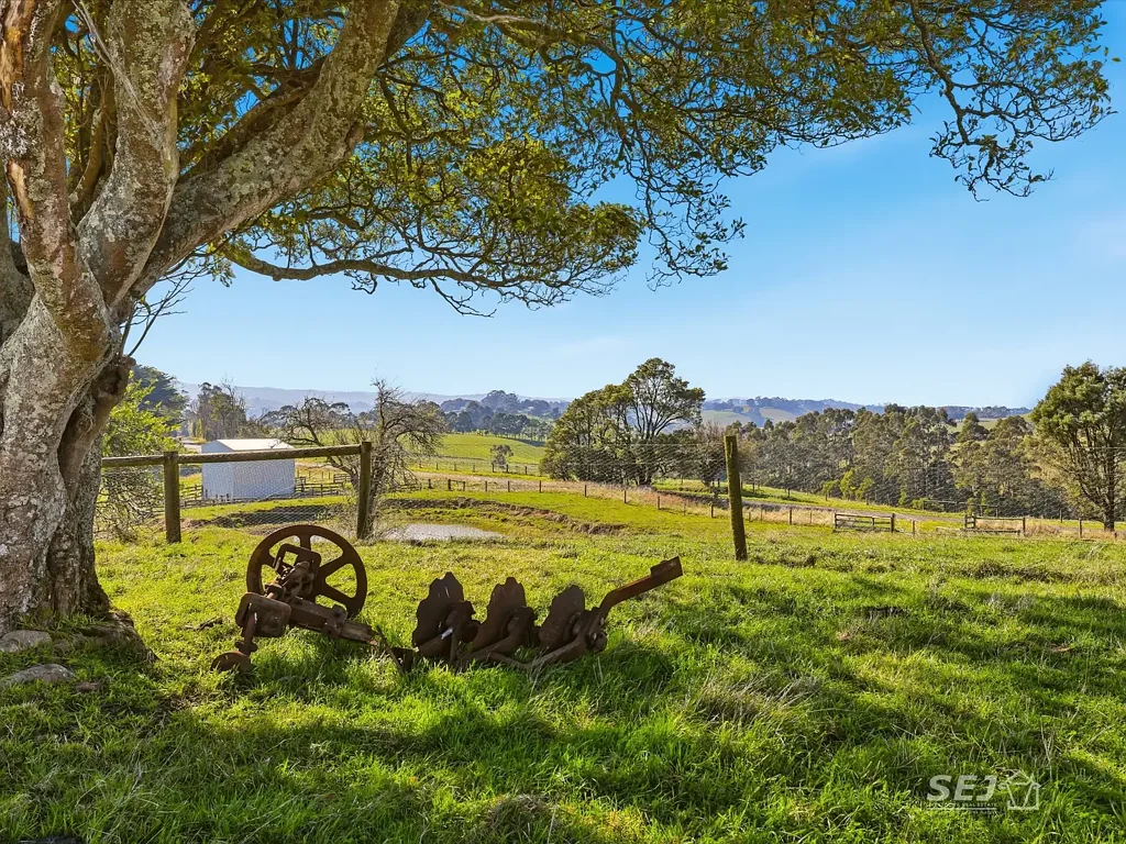 Arawata Magnificent views and grazing country!