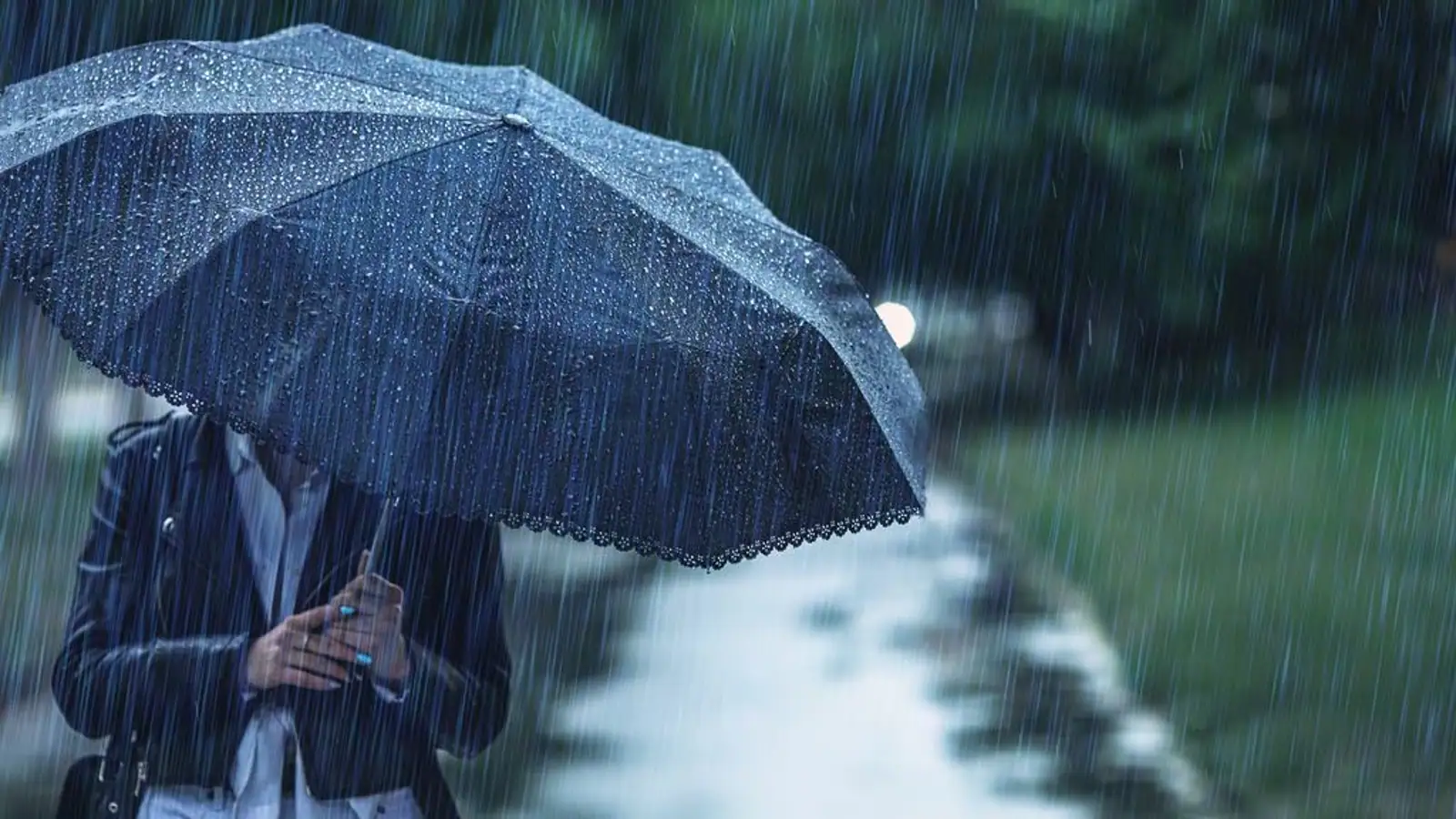 卷土重来？明天开始，奥克兰将恶劣天气，多地狂风暴雨，出行注意！