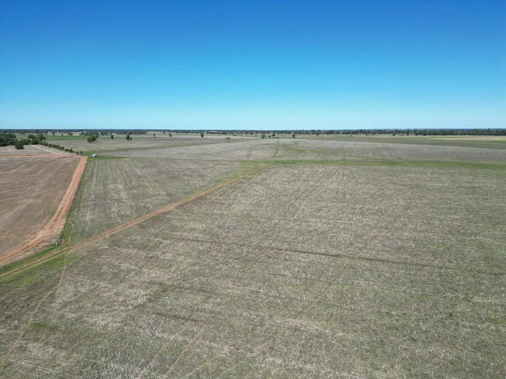 Gilgandra Development and/or Farming Opportunity