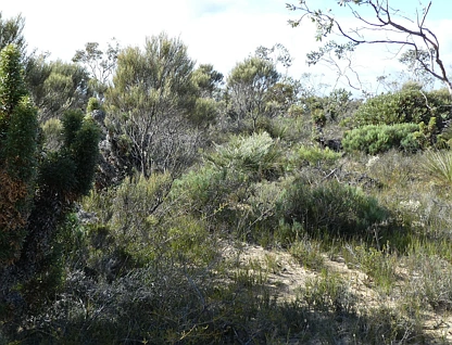 LOT 3 Marnigarup South Road, Gairdner, Wheat Belt, 0 Bedrooms, 0 Bathrooms, Lifestyle Property